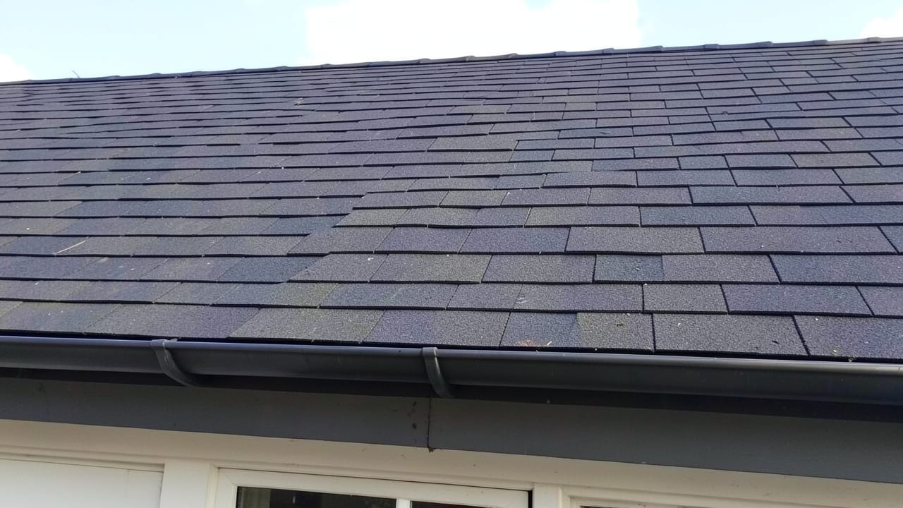 Algae Treatment in Bellevue, WA in Bellevue
