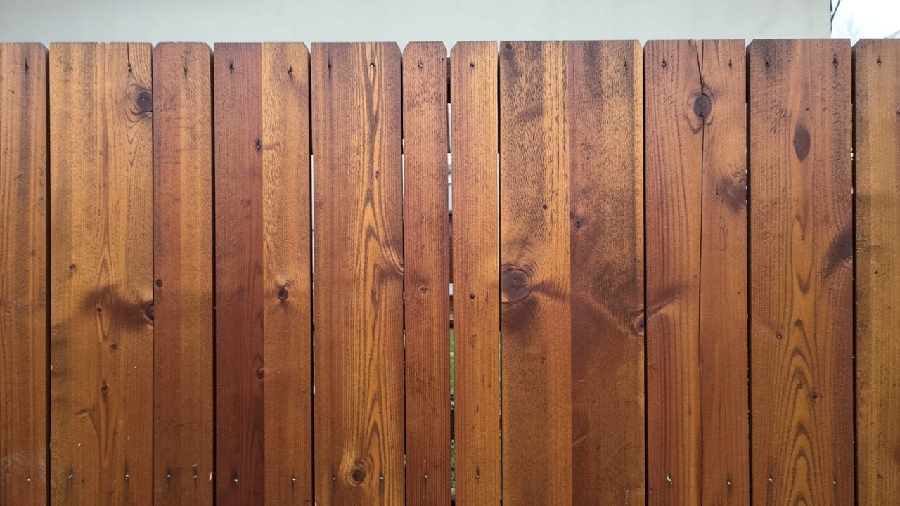 Mildew Treatment in Bellevue, WA in Bellevue