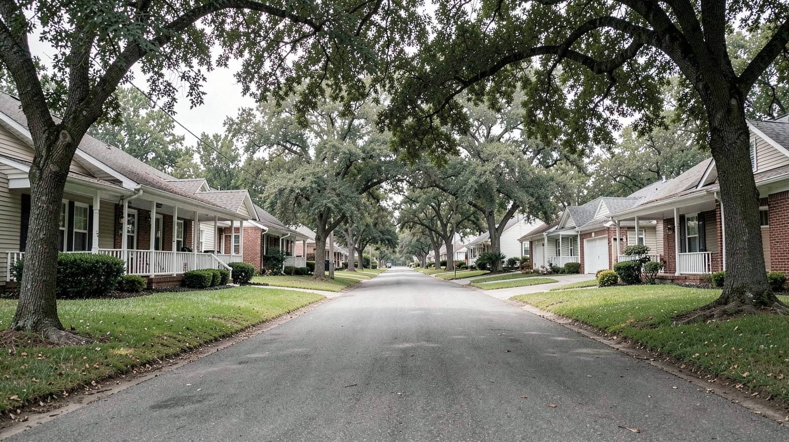 Pressure Washing in Arcadia, SC