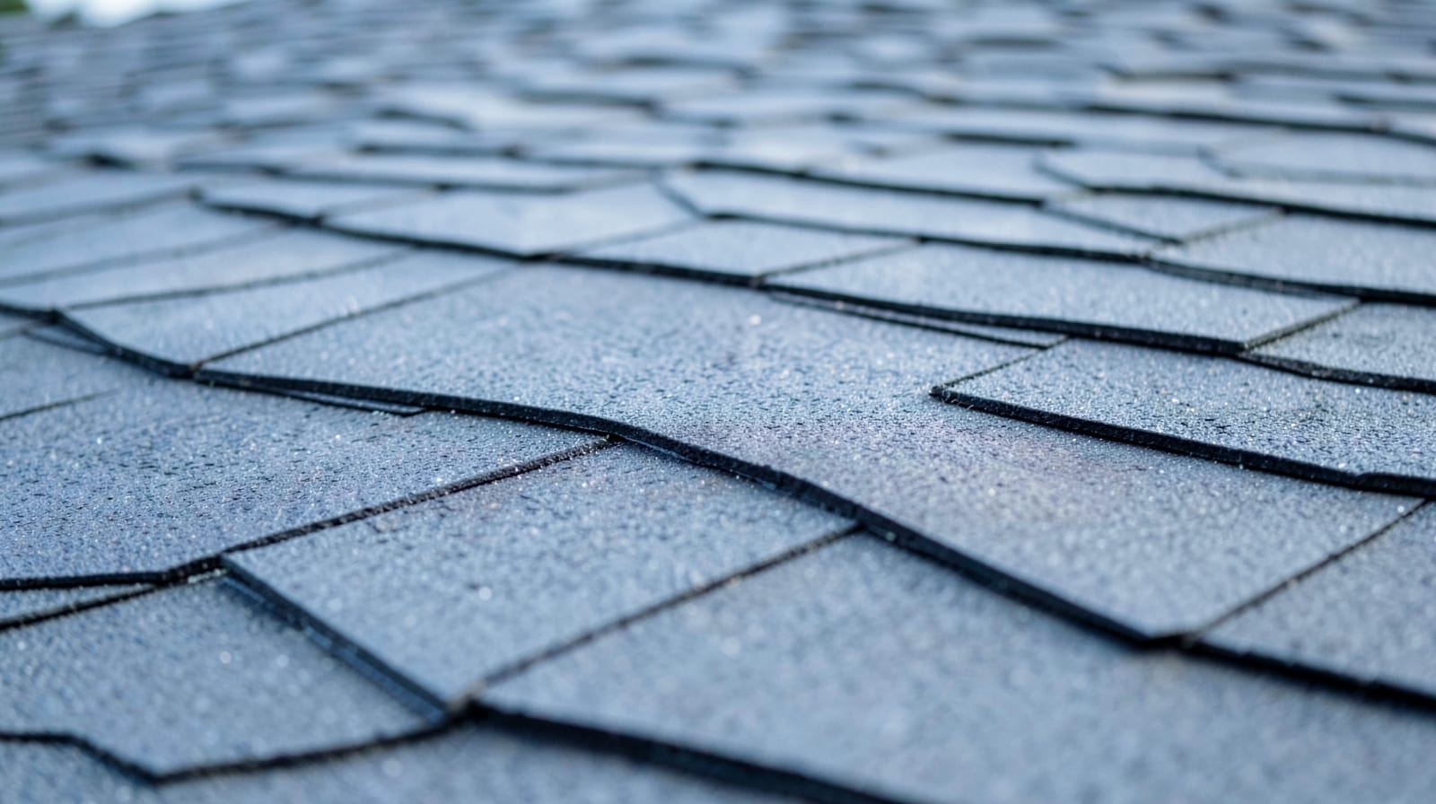 Roof Washing (Soft Wash) in Spartanburg, SC in Spartanburg